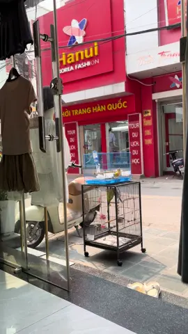 Phối hợp đào tẩu 🙄