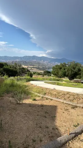 #foryoupage #viral #tiktok arriba Jalisco. Sonríe la vida es bella 