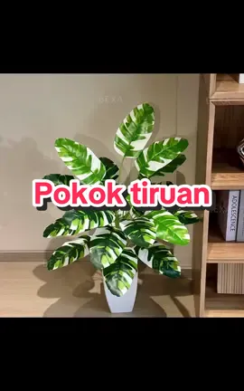 Rumah lgi cantik bila ada pokok hiasan ni🤪🤪🤪... #fyp #fypシ #pokokhiasan #artificialplants #CapCut 