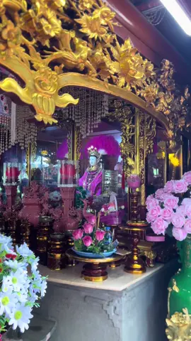 Đã ai về đây xin nước giếng cô chưa ạ?#đềnvasontay #côchin 