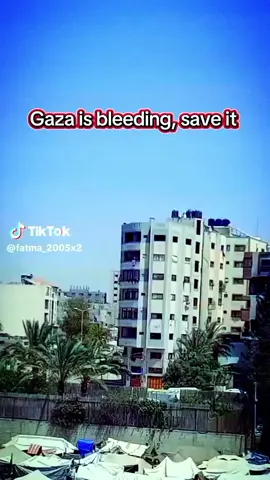 #Gaza #bleeding saveit#palestine #free #palestine #free #palestine 