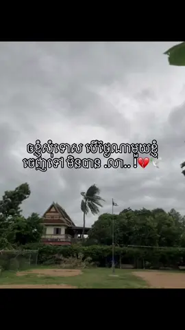 💔🕊️..#fypシ゚ 