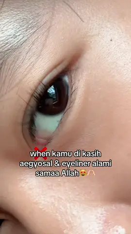 #fyp #aegyosal #Eyeliner #alamii😻🤏🏻 #foryouu 