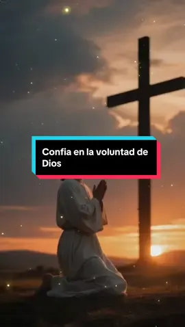Donde Dios te puso florecerás, confía en la voluntad de Dios. #oracion #Dios #sabiduria #curiosidades  #SabiasQue  #vidacristiana  #DiosMio #reflexiones  