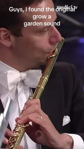 #duet with @medici.tv #morningmood 