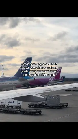 sopo melu gek ndang ngelist 🗿#fyp #4u #jowopride #jowostory #kenshuseijapan🇮🇩🇯🇵🎌 #jishusei🇯🇵🇲🇨 #xyzbca #foryou #ramarif 