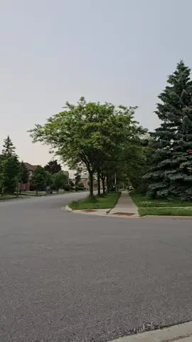 🖤🍂 #canada_life🇨🇦 #foryoupage❤️❤️ #fypシ゚ #viewsproblem #unfreezemyacount #indianidol #goviral #viralvideos 