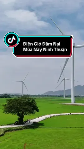 Điện gió Đầm Nại ở Phan Rang, Ninh Thuận đẹp lắm mấy bạn nha #ninhthuan #phanrang #elricreview #tiktoktravel #isbtalents 