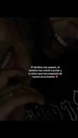 Siempre tu