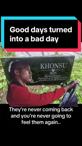 I love her gravesite .. I miss her.. I wouldn’t change a thing Other than the night everything happened. #khonsudoggo #GSD #gsdoftiktok #puppies #MemeCut #Meme #MemeCut 