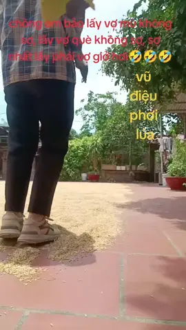 #vũ điệu phơi lúa 2025 🤣🤣🤣🤣#vuivemoingay❤️ #xuhuongtiktok 