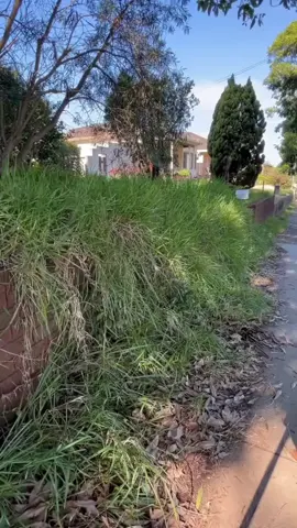 #reddit #redditstories #redditreadings #askreddit #fyp 