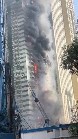 #fire #dubaimarina #dubaimarina #uae #dubair #tiger 