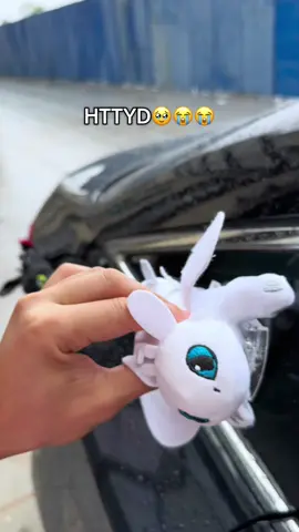 Toothlesssssssssss😭😭😭😭#toothless #cardecor #unitedstates 
