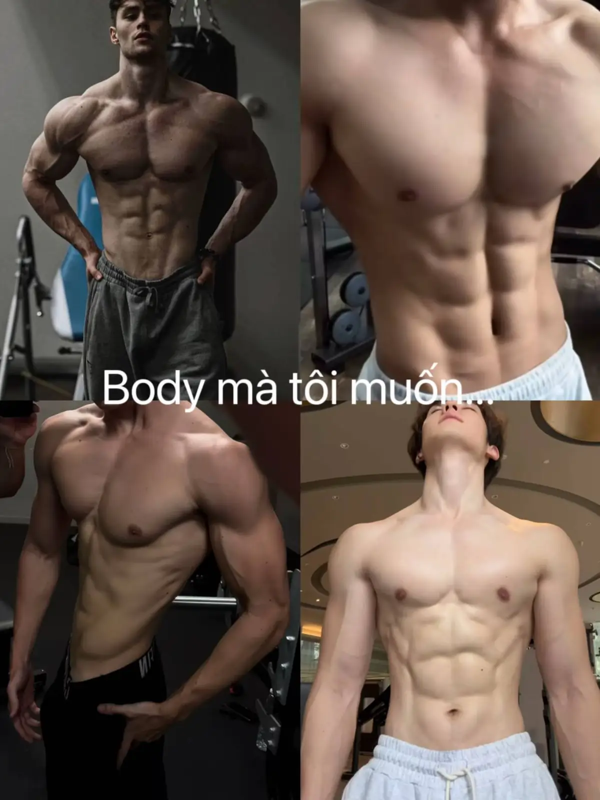 Các bro cho tui xin cách tập để có một body đẹp vs ạ chứ mập quá rồi 😃#theduc #gym #suckhoe #Fitness #doisong #dongluc #cuocsong #fyb #tym #xuhuong 