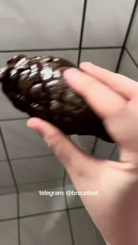 olha a grossura dessa, quase me r4asg0u 😮 #hugeturd #rasma #newmfx #scat #bigturd 