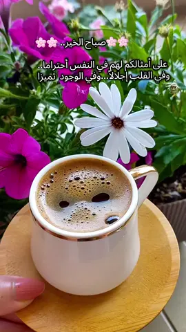 صباحكم فيروزي  #صباح_الخير #صباح_الورد #صباحكم_أحلى_صباح #قهوتي #فيروز #فيروزيات #اغاني_الزمن_الجميل #foryou #your_coffee #fyp #القهوة_عشق_لا_يتنهى #جايبلي_سلام_فيروز_صباح_الخير🕊️☕ 