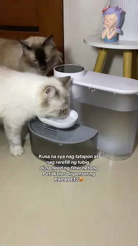 Smart Pet Water Dispenser😻 #papapets #waterdispenserforpets #waterfountainforcats #catessentials #petessentials #catwaterfountain #dogwaterfountain 