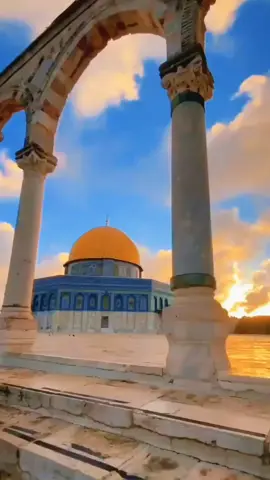 تمر السنين وراء السنين...وصبرك يبعث فيا اليقين🇵🇸❤️🇵🇸