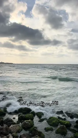 الكلب مخلص 🫣 #tiktok #tik_tok #summervibe #viarl #شعر #الوجع #وانا_اصلي_واخد_ع_الوجع #يارب #الشعب_الصيني_ماله_حل😂😂 #الدنيا_مش_مستاهله_انك_تزعل #الصحاب #الاسكندرية #العزلة_وطن_للارواح_المتعبة #العزلة_وطن_للارواح_المتعبة #فارس_قطرية #fares_katarya #تعبتتتتتتتتتتتتتتتتتتتتتتتتتتتتتت💔 @Fares A.Katrya 