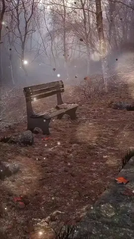 #CapCutAmor #CapCut  #fouryoupage #creatorsearchinsights 