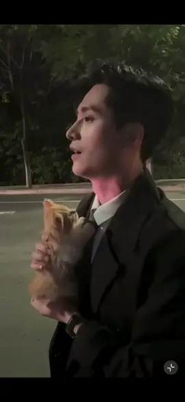 🤣🤣 lucu banget ngomong sama kucing  #wanghaozhen #fyp #aktorganteng #shortdramachines 