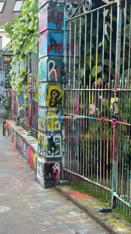 It was so cool watching a local street artist while we were exploring ghents graffiti street. #belgium #ghent 