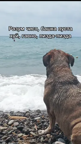 #derealcomplex #море