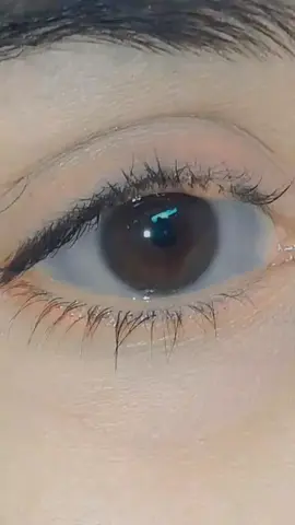 #creatorsearchinsights #CapCut #myaccountunfreze🙏🥺 #pleasetiktoktaemunfreezmyacuont #pleaseunfrezzemyaccount #plese_tiktok_for_you #unfrezzmyaccount #plesae_viral_tiktok_video #creatorsearchinsights #plesemyacountunfreez😭😩 #🌹♥️🎶🎵🎧😍🥰🌷♥️🌹 #ppppppppppppppppppppppp #fyp #pyfffffffff #ple#myac#myaconutviral 