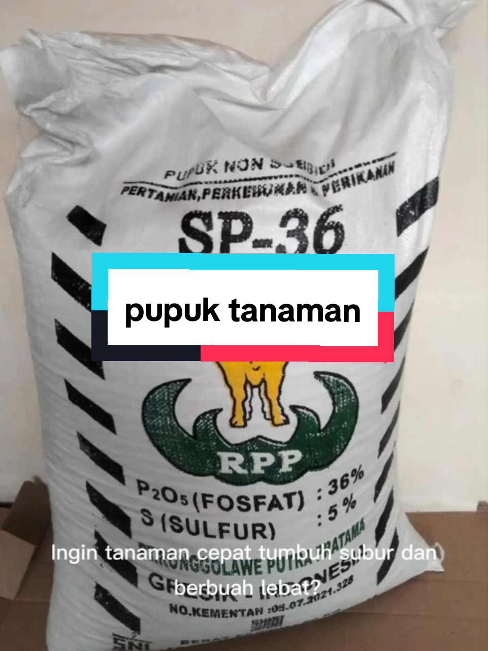 ingin tanaman kalian cepet tumbuh, ini solusinya! sp 36. #CapCut #pupuk #tanaman #pertanian 