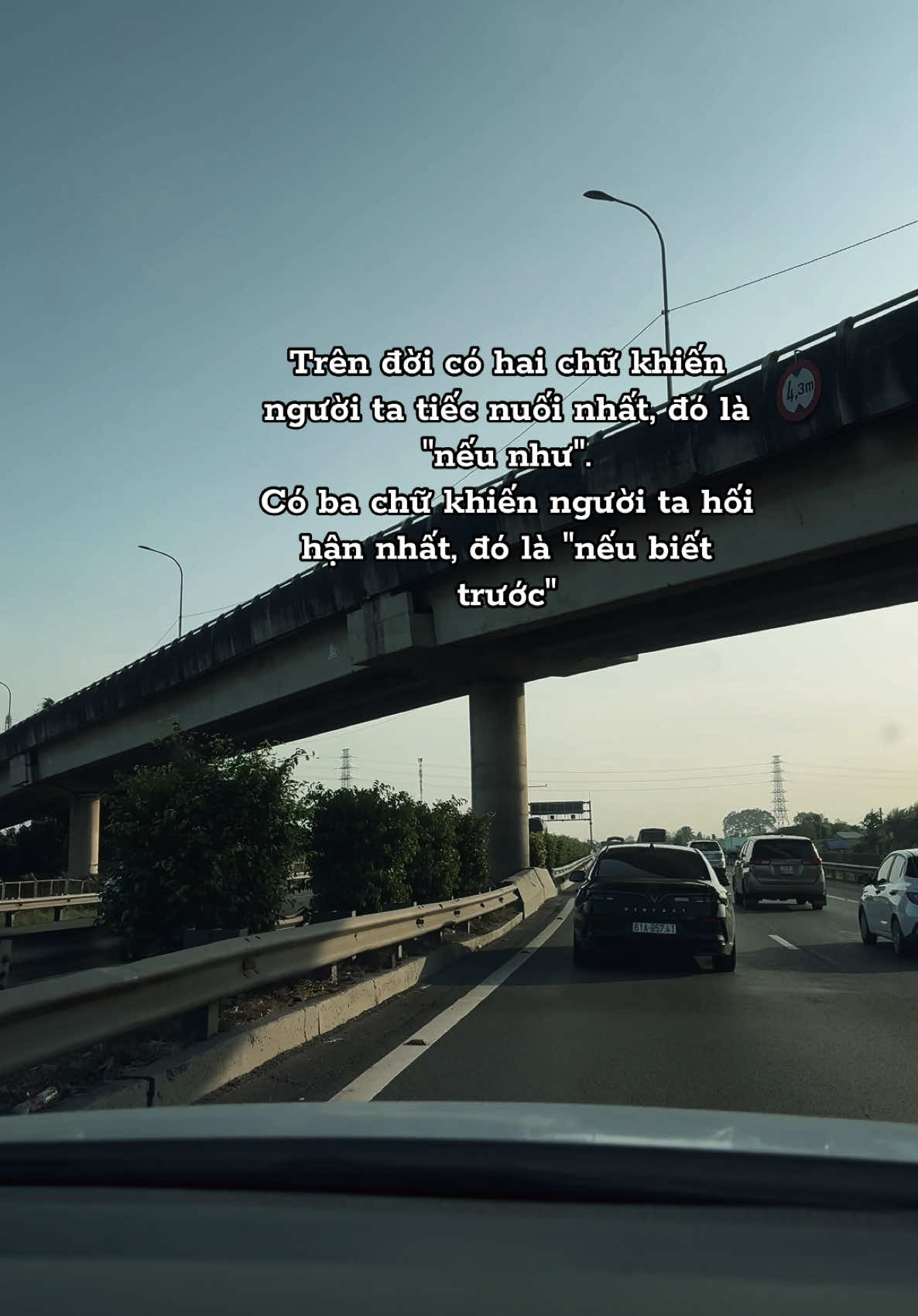 Trên đời có hai chữ khiến người ta tiếc nuối nhất, đó là 