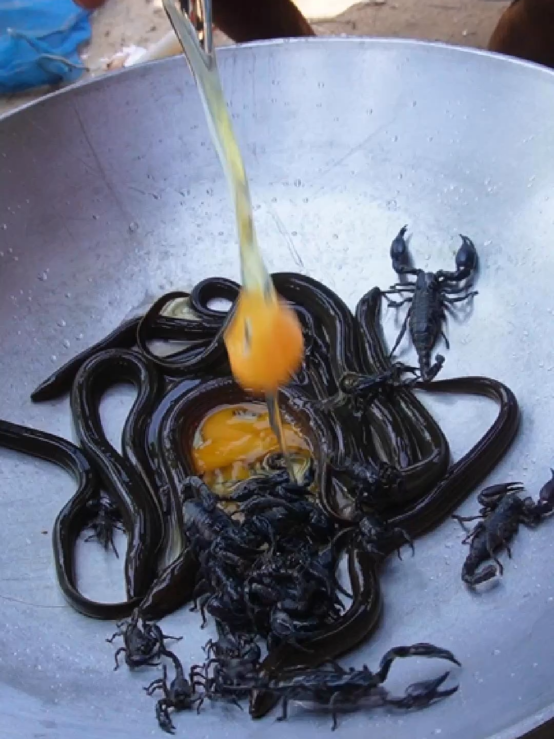 Amazing Crispy Eels with Eggs recipe  #tiktokfood