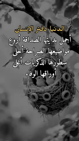 #explore #تصميم_فيديوهات🎶🎤🎬 #اكسبلور 