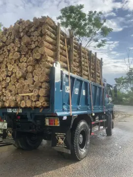 Xe cỏ thôi…!#thacoforlandfd150#thacoauto #xuhuongtiktok #sinotrukvietnam 