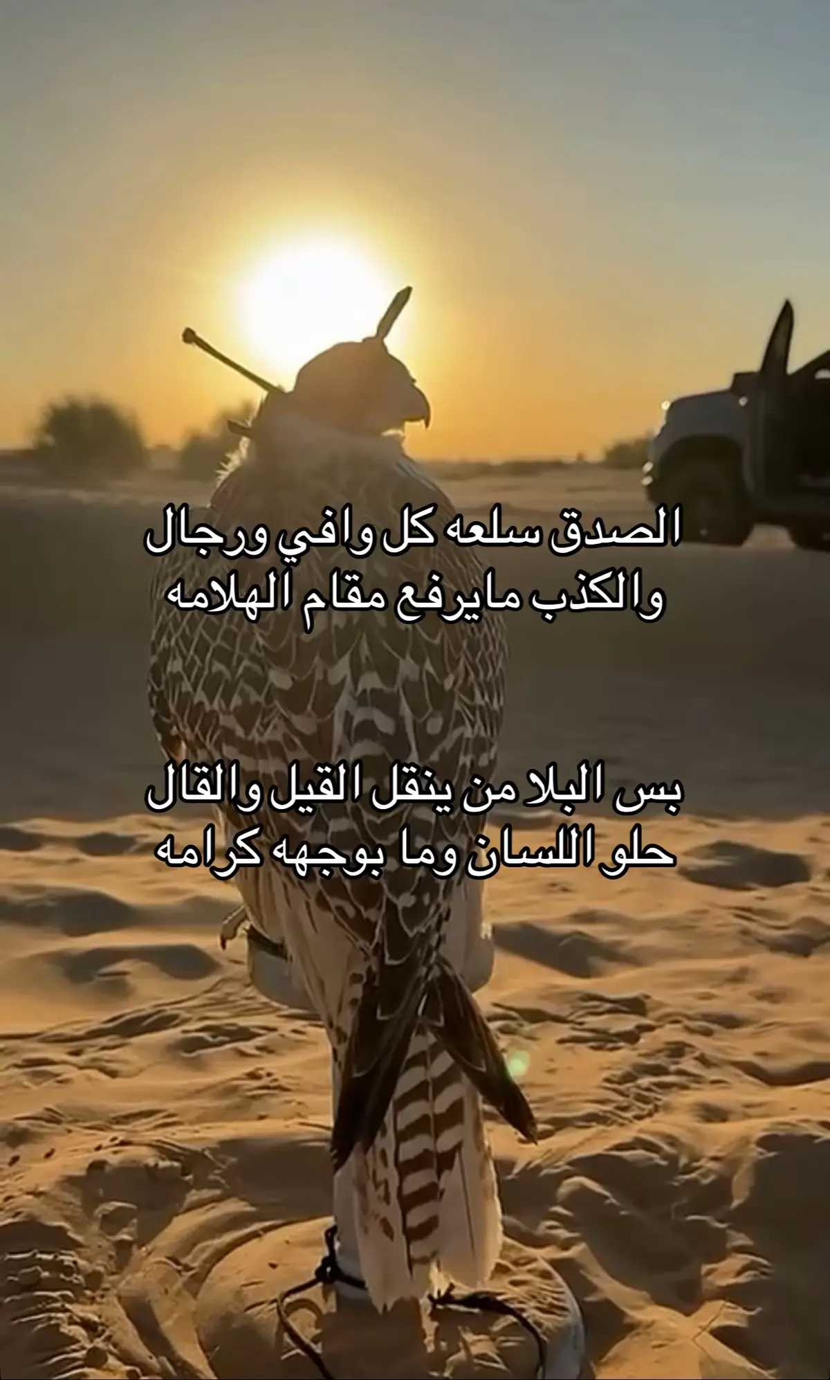 #اكسبلوررر #fyp #explore #fyyyyyyyyyyyyyyyy #اكسبلورexplore #الحربي 