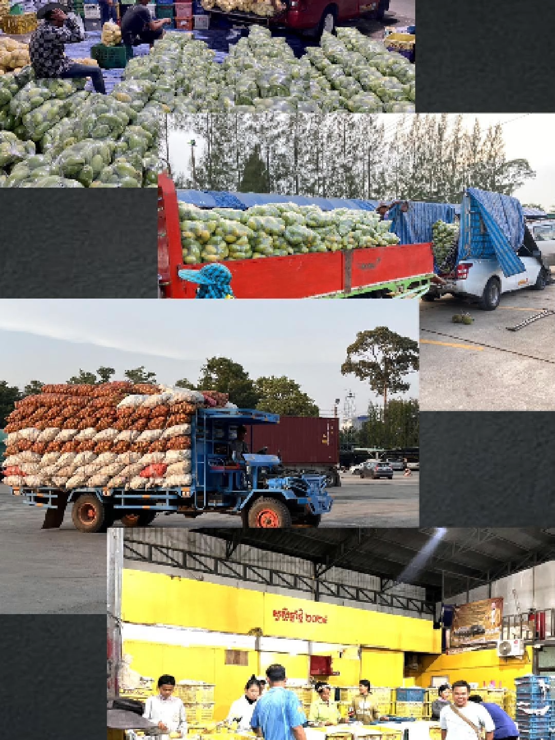 รู้ไหม? มะม่วงแก้วขมิ้นจากกัมพูชากว่า 85% ส่งเข้ามาไทยทาง “ด่านชายแดนไทยกัมพูชา ด้านจังหวัดจันทบุรี ช่องทางนี้ไม่ใช่แค่ถนนส่งของ แต่คือเส้นเลือดหลักของชาวสวนมะม่วงกัมพูชา ด่านชายแดนจันทบุรี…ไม่ใช่แค่ทางออกผลไม้ไทย แต่คือ...ประตูทองของ “มะม่วงแก้วขมิ้นกัมพูชา” 📌 เรื่องจริงที่ซ่อนอยู่ใน “มะม่วงแก้วขมิ้นกัมพูชา” ที่ใครหลายคนยังไม่รู้! #ใะม่วงแก้วขมิ้นกัมพูชา #จันทบุรี #โป่งน้ำร้อน #ชายแดนจันท์ #สถานการณ์ชายแดนไทยกัมพูชา #สวทจันทบุรี #FM90.25 #AM1125