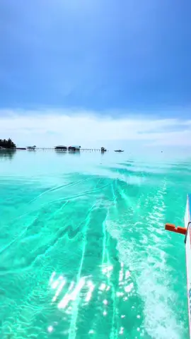 Hi, we have Balabac tours everyday with overnight in Onuk island. We accept solo, couple and group joiners. Kindly check my TikTok, FB & IG  reels for more Balabac updates WhatsApp: +639172723344 Why Balabac? Super clear water, powdery white sand, endless beach, sandbars, giant clams, giant sea turtles, lots of starfish, flourishing and colorful reefs, free diving sites, amazing sunrise and sunsets!#balabacgirl #balabactours #balabacisland #balabacpalawan #balabac #onukisland 