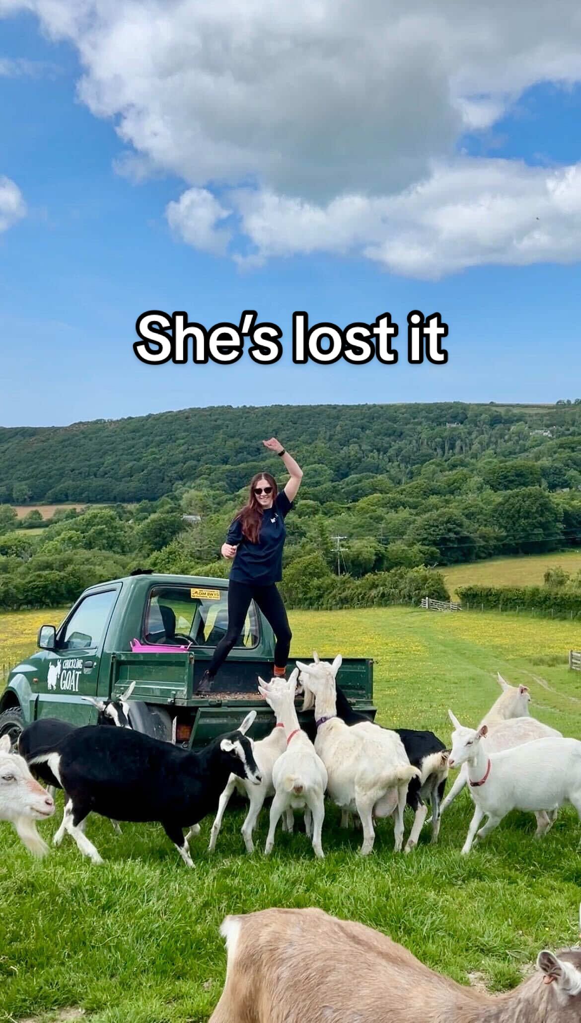 Not the goats running away😭 #goats #socialmedia #relatable #farming #guthealth #farmlife #fyp 