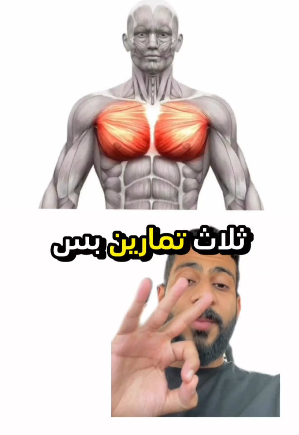 أهم 3 تمارين لعضلة الصدر مع طريقة أدائهم ،ماتحتاج غيرهم 🫡🤝