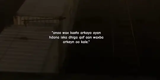 11:11 am : i see everything is happening.'' #facts #video #lifesimple #foryoupage #vairal 