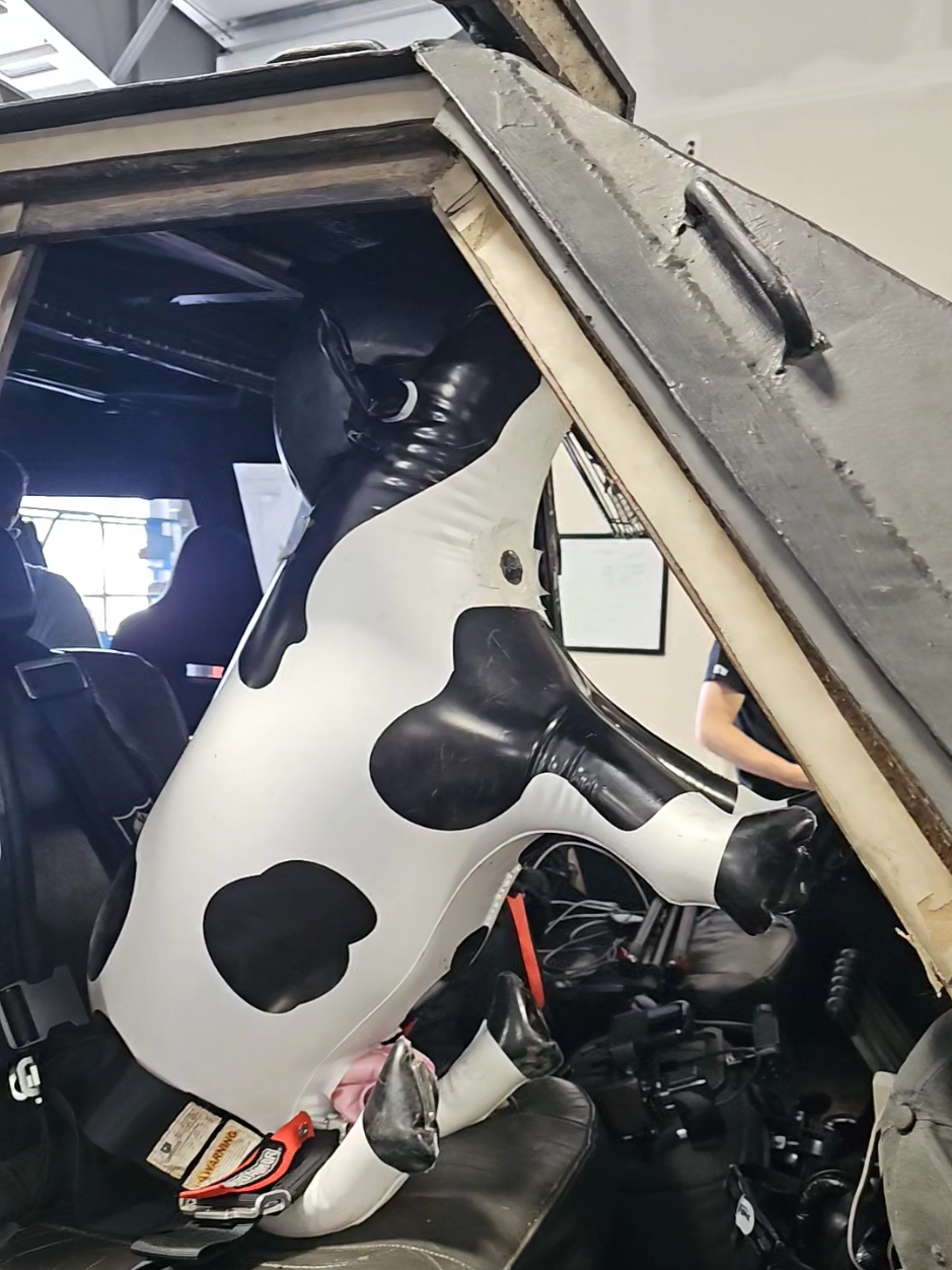 He brings good luck. #teamtiv #stormchaser #tornado #cow #cows #wegotcows #tiv2 #moo #moomoo 