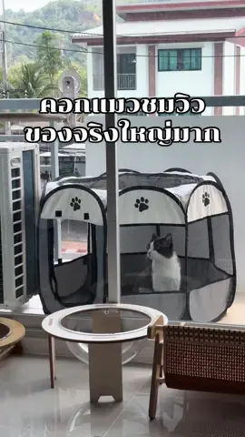 Replying to @Ornny ขายทุกอย่สง ของลักกี้เป็นไซส์กลางค่า แค่ไซส์กลางก็เต็มระเบียงแล้ว 🤣 #คอกแมว #คอกแมวพับได้ #คอกแมวเคลื่อนที่ #กรงแมวชมวิว 