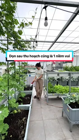 Dọn dẹp sau thu hoạch là lúc vui nhất, vì sắp được khoát lên cho khu vườn một màu áo mới. #trongrausanthuong  #garden  #viral  #xuhuong  #HongNho 