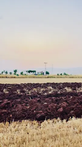 #sezon #başlasın #2025 #mardinkızıltepe #CapCut #beniöneçıkarttiktok #öneçıkar #traktörvideoları🌾🌾 #johnderee5105m #2025bride #traktörvideoları #tiktokviral 