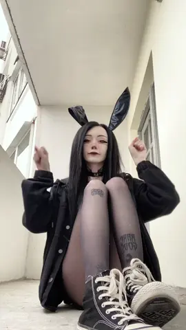 Тушь тушь доброе утро, кура ми джа. Дайте джазу 