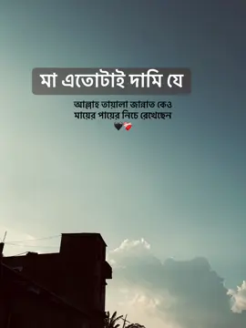 মা এতটাই দামী যে আল্লাহ তায়ালা জান্নাত কেও মায়ের পায়ের নিচে রেখেছেন 🖤❤️ #everyone #vairal #tiktok #fyp #fyp #statusvideo #status #tiktokviral #trending #ক্যাপশন #fyppppppppppppppppppppppp @TikTok 