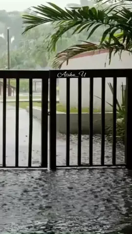 Dil Kisi Aur Per Nahin Aata (Song) #goviral #foryoupage #foryou #fyp #song #poetry #ghazal #shairi #hindisong #music #bollywood #fyy #viral #trending #urdupoetry #sadlines #sadpoetry 