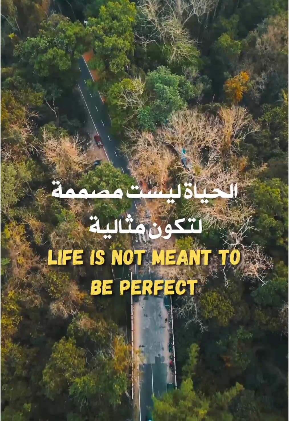 Life isn’t perfect  it’s your truth that makes it beautiful.🌿 #lifequotes #motivation #inspiration #positivity #selflove #gobeyond #lifewisdom #deepqoutes #personalgrowth #riseabove #fyppppppppppppppppppppppppppppppppppp #viral 