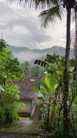 🌧️🌿🍃#kaligintung #pituruh #purworejo #nature 