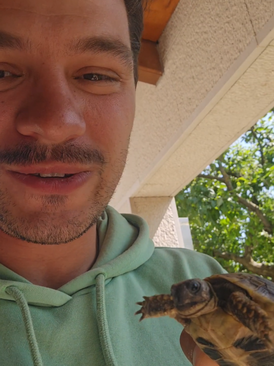 une mini Tortue #matfamily 